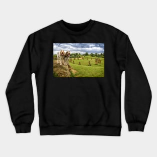 Dogs on a Rock Spinoni Crewneck Sweatshirt